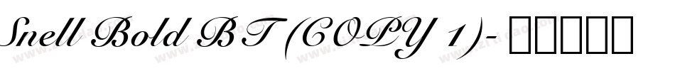 Snell Bold BT (COPY 1)字体转换